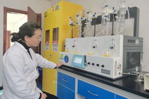 岷縣市場(chǎng)監(jiān)管局食品藥品檢驗(yàn)檢測(cè)中心高效完成黨參飲片二氧化硫殘留委托檢驗(yàn)，助力營(yíng)利性民辦職業(yè)技能培訓(xùn)機(jī)構(gòu)規(guī)范發(fā)展